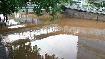 Jakarta, September 23, 2023, Fluss Müll fangen, Technik von pflücken oben Müll im das Fluss video