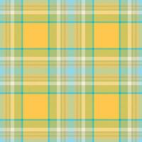 Plaid seamless pattern. Check fabric texture. Vector textile print.