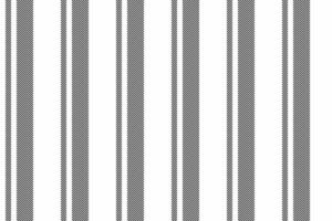 Pattern lines texture of vector textile seamless with a fabric stripe background vertical.
