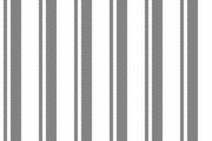 Pattern lines texture of vector textile seamless with a fabric stripe background vertical.