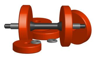 realistic detailed 3D model of disassembled red sports dumbbell. Healthy lifestyle, fitness. Realistic vector