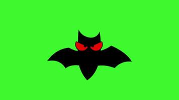 The Cartoon Bat fly on a green screen. Halloween elements. loop animation. Color key video