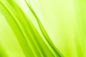 Gradient Nature view of green leaf on blurred greenery background in garden with copy space using as background natural green plants landscape, ecology, fresh wallpaper photo