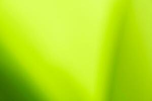 Gradient Nature view of green leaf on blurred greenery background in garden with copy space using as background natural green plants landscape, ecology, fresh wallpaper photo