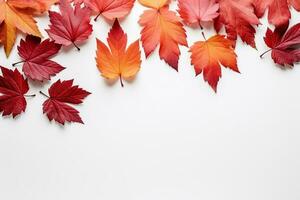 Autumn leaves of yellow, red colors isolated on a white background. Natural fallen autumn tree leaves photo