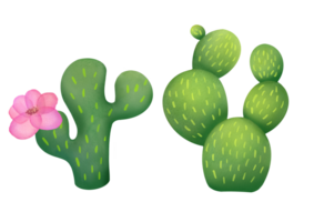 Watercolor clipart green Mexican Cacti set isolated on transparent background for stickers, greeting cards, scrapbooking. collection of Cute plants, succulents, prints about nature and deserts png