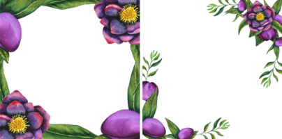 nieskruid zwart. kader gemaakt van waterverf elementen Aan een transparant achtergrond. hand- getrokken bloemen, bloemknoppen en bladeren. waterverf botanisch werk voor kaarten, uitnodigingen, textiel en papier producten png