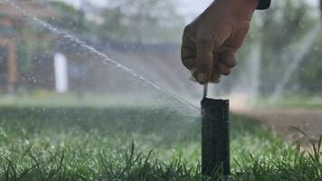 automatico irrigazione erba, giardino prato spruzzatore nel azione. video