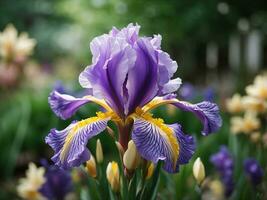 hermosa iris flor en el jardín generativo ai foto