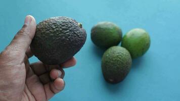 hand- Holding een avocado video