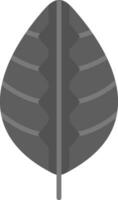 Maranta Vector Icon