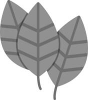 Aspidistra Vector Icon