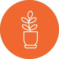 Ficus Elastica Vector Icon