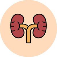 Kidney Vector Icon