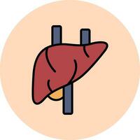 Liver Vector Icon