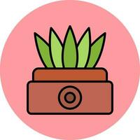 Sansevieria Vector Icon