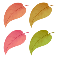 Illustration of colorful autumn leaves clipart set png