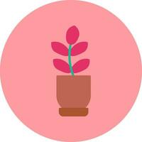 Ficus Elastica Vector Icon