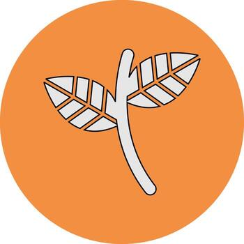 Shell Ginger Vector Icon