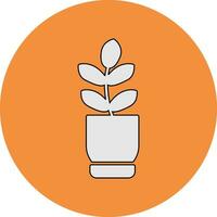 Ficus Elastica Vector Icon