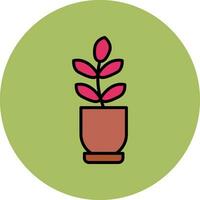 Ficus Elastica Vector Icon