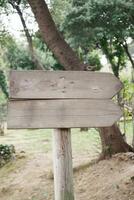 wooden sign in the a park with copy space concept. photo