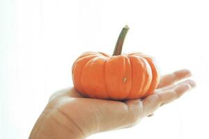 mini pumpkin on hand isolated on white photo