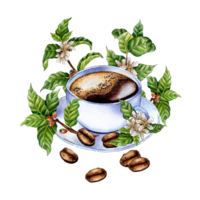 acquerello illustrazione di un' bianca caffè tazza, piattino, ramoscelli, caffè fagioli e fiori. mano disegnato acquerello illustrazioni di bevande per saluto carte, loghi, Stampa. design per fabbricazione cappuccino. png