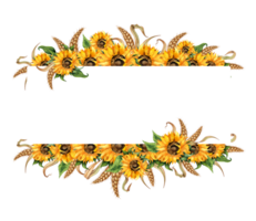 Watercolor illustration frame border of sunflowers and ears of wheat. Harvest Festival. The border is isolated. Compositions for posters, cards, banners, flyers, covers, placards. png