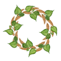 Watercolor illustration of a wreath of ripe dried wheat leaves and green hop cones. Round frame isolated. For menus, banners, poster printing, recipes, labels, packaging design. png