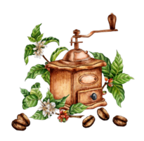 Watercolor illustration of a wooden retro coffee grinder, twigs, coffee beans and flowers. Hand drawn watercolor illustrations of drinks for greeting cards, logos, print. Design for making cappuccino. png