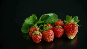 Ripe juicy red strawberry isolated on black background video