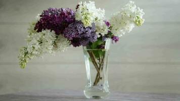Bouquet of beautiful spring lilacs of different colors on a wooden table video