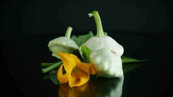 fresh organic squash with flowers and foliage isolated on black background video