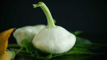 fresh organic squash with flowers and foliage isolated on black background video