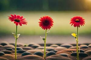 three red flowers growing out of rocks. AI-Generated photo