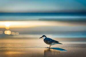 un pájaro en pie en el playa a puesta de sol. generado por ai foto