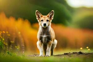 un perro en pie en el césped con un campo en el antecedentes. generado por ai foto