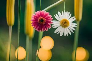 dos flores son colgando desde un cadena. generado por ai foto