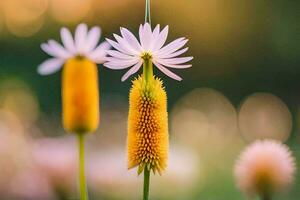 two flowers are standing in the middle of a field. AI-Generated photo