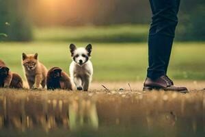 un hombre caminando con su perros en el césped. generado por ai foto