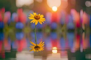 a single yellow flower is reflected in the water. AI-Generated photo