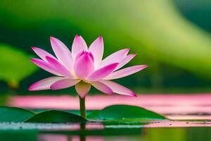 a pink lotus flower is floating in the water. AI-Generated photo