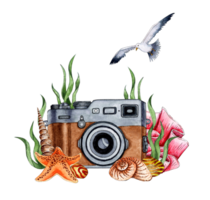 vattenfärg illustration av en brun retro kamera av snäckskal, korall, alger och sjöstjärna. tropisk marin ClipArt. sammansättning för de design av souvenirer, vykort, affischer, banderoller, menyer, etiketter png