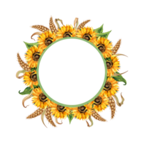 Watercolor illustration of a round frame wreath of sunflowers and ears of wheat. Harvest festival isolated. Handmade flowers for wedding anniversary, birthday, invitations and card png