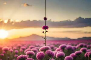 a flower field with purple flowers at sunset. AI-Generated photo