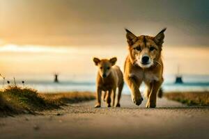 dos perros caminando en un la carretera a puesta de sol. generado por ai foto