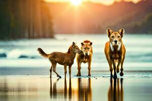 three dogs and a baby walk along the beach at sunset. AI-Generated photo