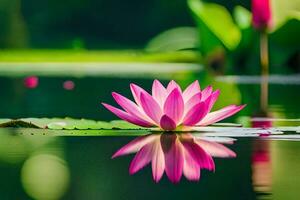 pink lotus flower in the water. AI-Generated photo