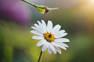 a single white daisy is in the foreground. AI-Generated photo